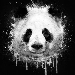 Meet your Posher, Ethan