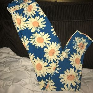 TC Sunflower LuLaRoe Leggings!