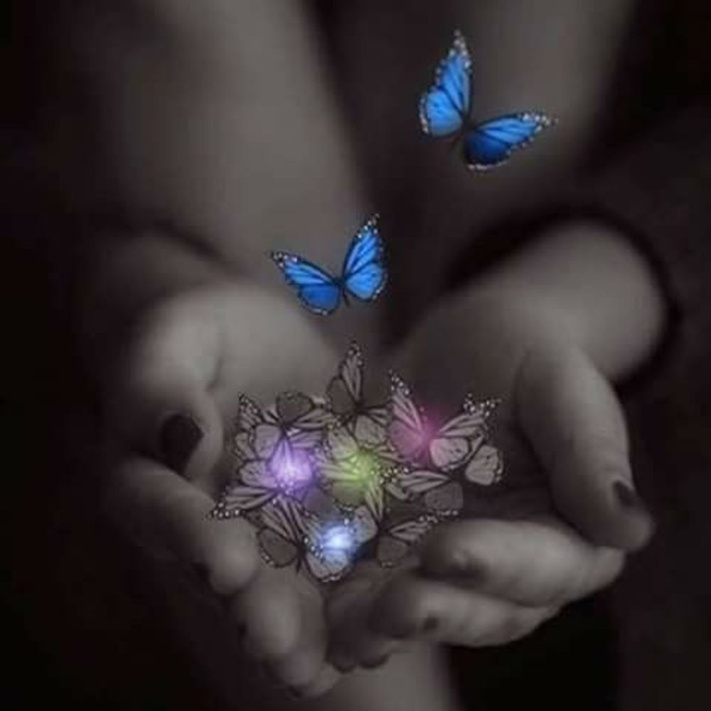 Meet your Posher, Rebecca