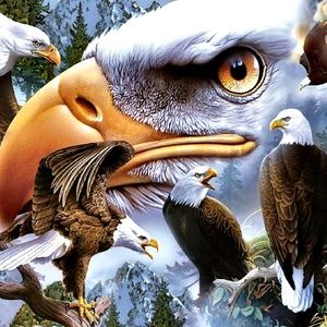 Meet your Posher, Abeniakilah