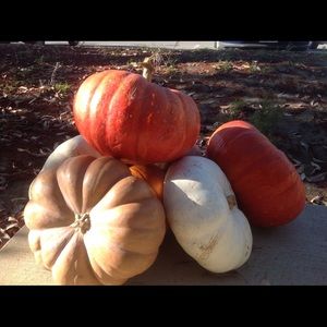 Meet your Posher, Barbara