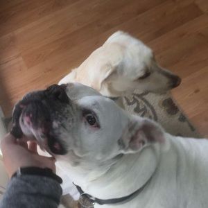 Meet your Posher, Abbie