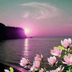 Meet your Posher, Janice