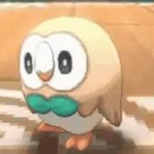 Meet your Posher, Eddie