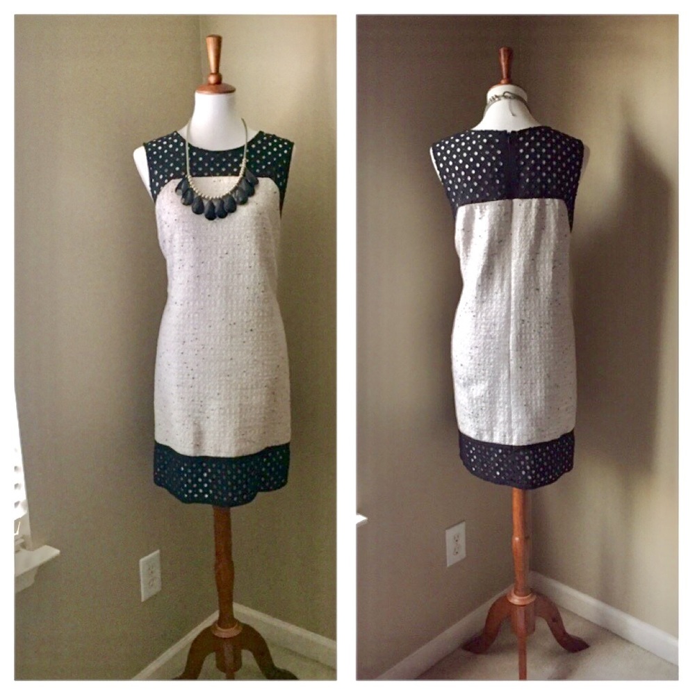 Ann Taylor Dress