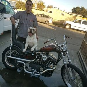 Meet your Posher, Jesus