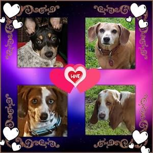 Meet your Posher, Teresa