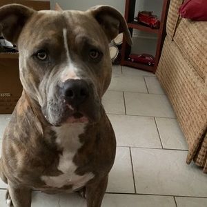 Meet your Posher, Monica