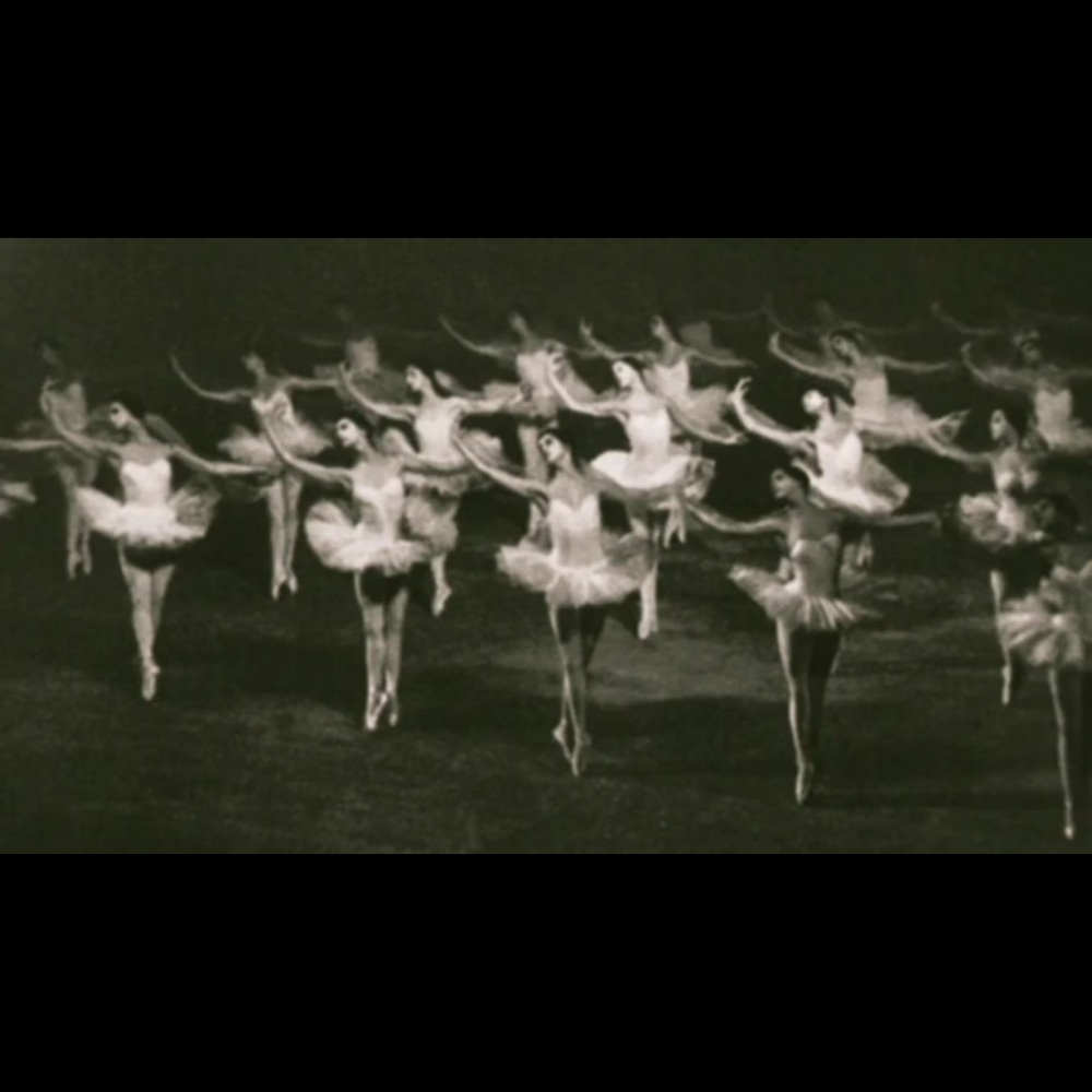 Meet your Posher, Aleah