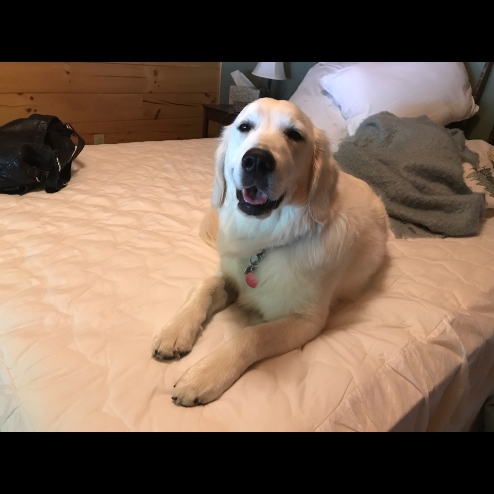 Meet your Posher, Ben