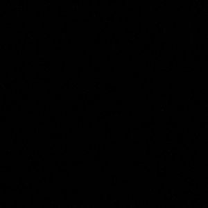 Meet your Posher, Brady