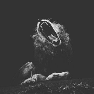 Meet your Posher, Carlon