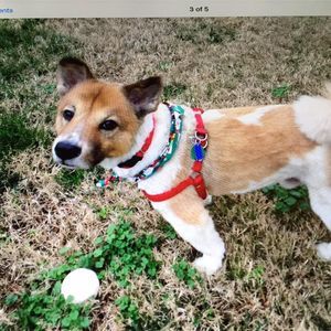 Meet your Posher, Jean