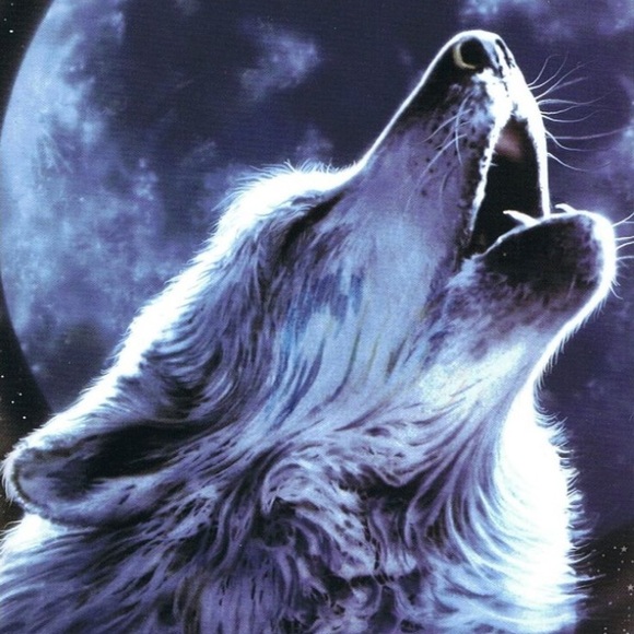 Meet your Posher, Gabriel - Picture 1 of 1