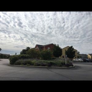 Meet your Posher, Z hen yu