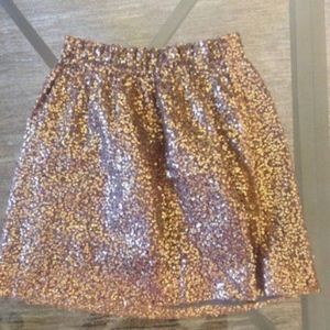 J Crew Sequin Skirt
