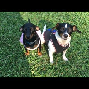 Meet your Posher, Alison