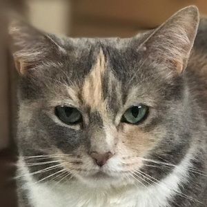 Meet your Posher, Patrick