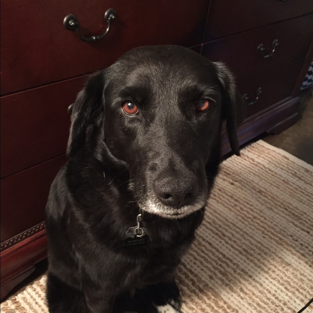 Meet your Posher, Debby