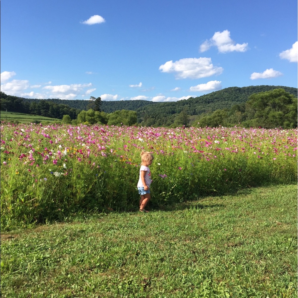 Meet your Posher, Pam