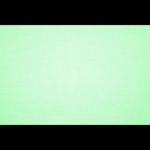 Meet your Posher, Madie