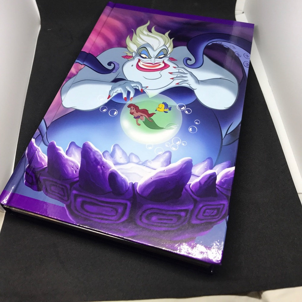 Disney Villains Planner/Journal