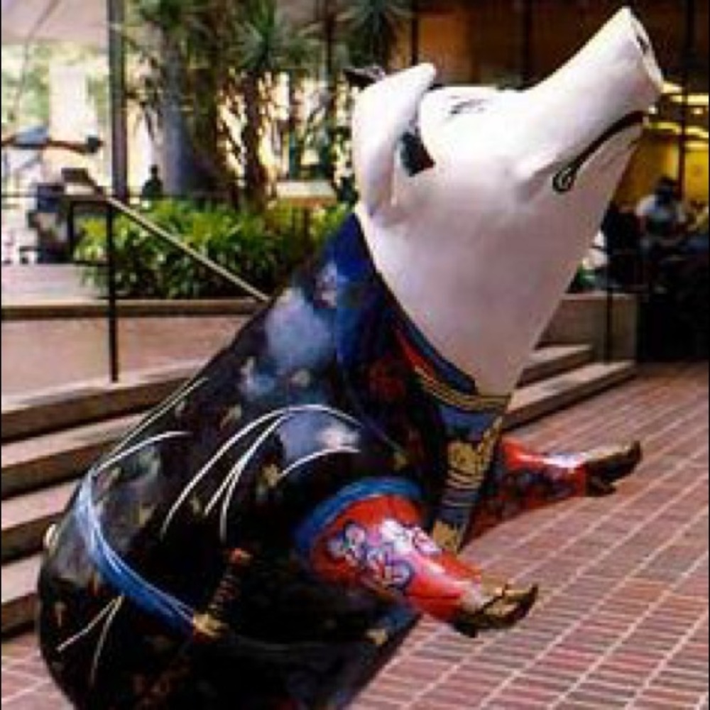 Meet your Posher, Tracy