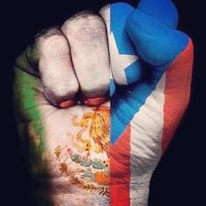 Meet your Posher, Daisy