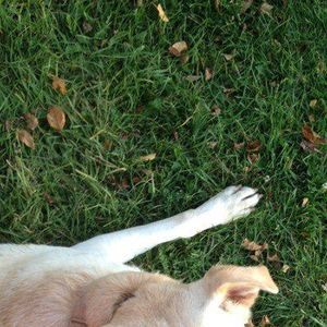 Meet your Posher, Kristy