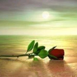 Meet your Posher, Norma