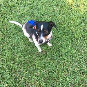 Meet your Posher, Alison