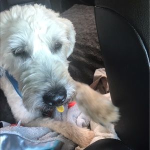 Meet your Posher, Maryellen