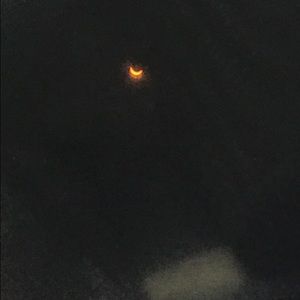 Meet your Posher, Dina