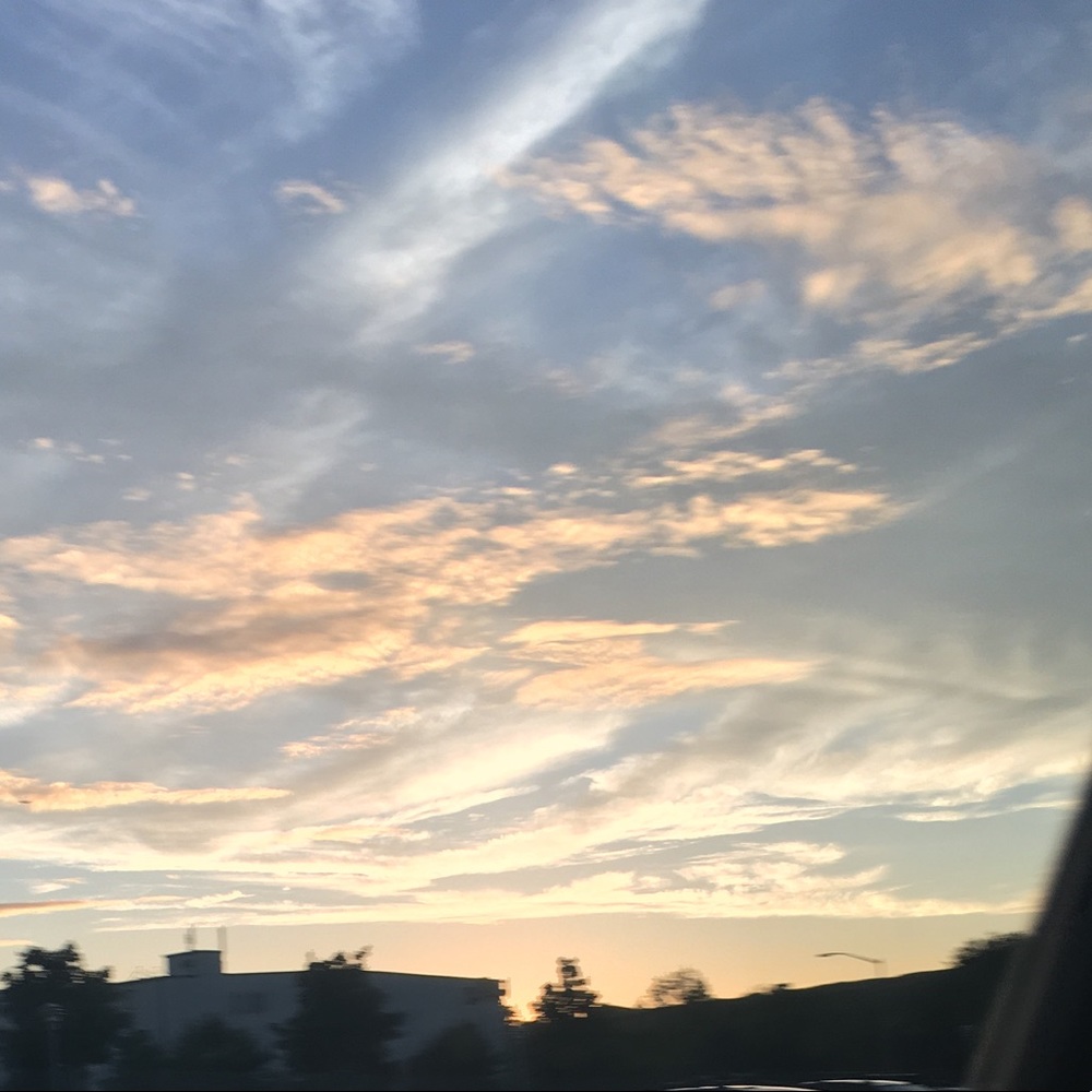 Meet your Posher, Belinda