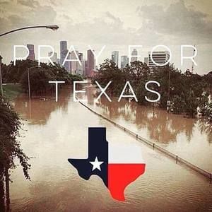 Meet your Posher, Jinnie