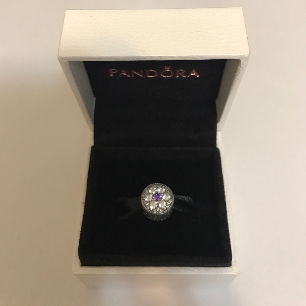 Pandora Charm Box (charm not included)