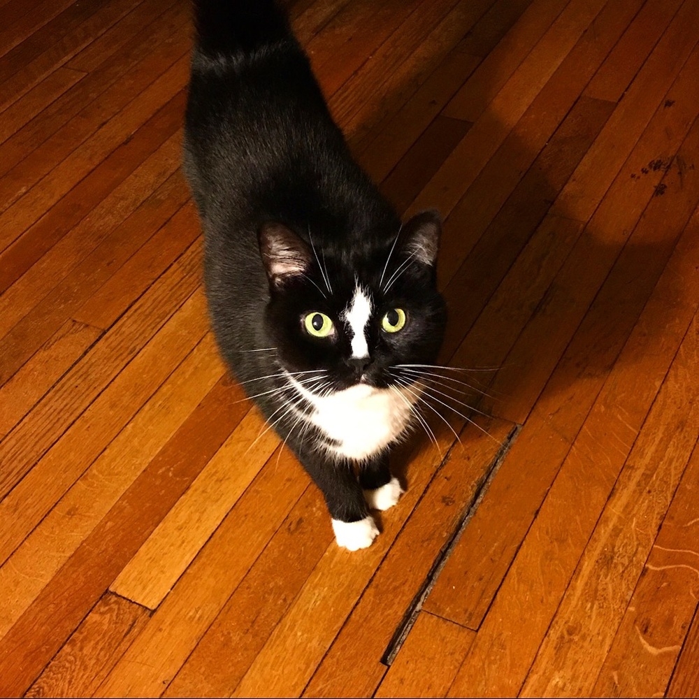 Meet your Posher, Justine