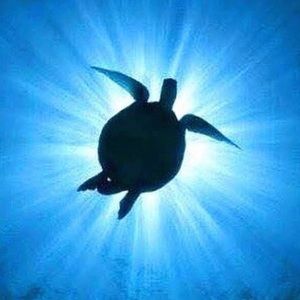 Meet your Posher, Marianna