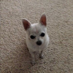 Meet your Posher, Sheri