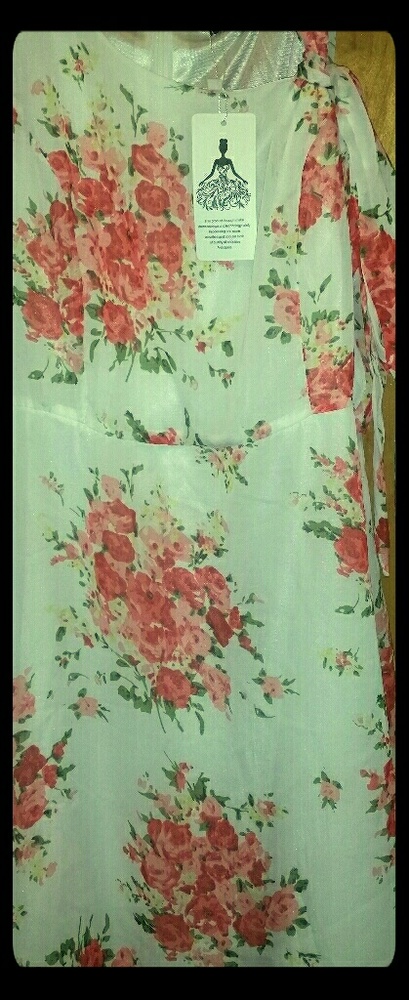 Gorgeous Dress NWT