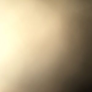 Meet your Posher, Rae