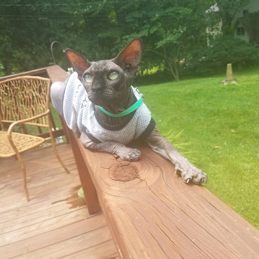 Meet your Posher, Sally