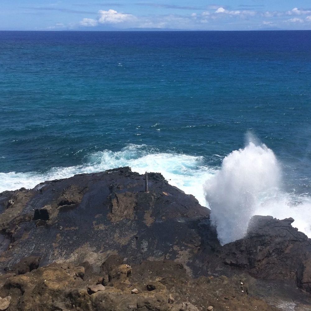 Meet your Posher, Arianna