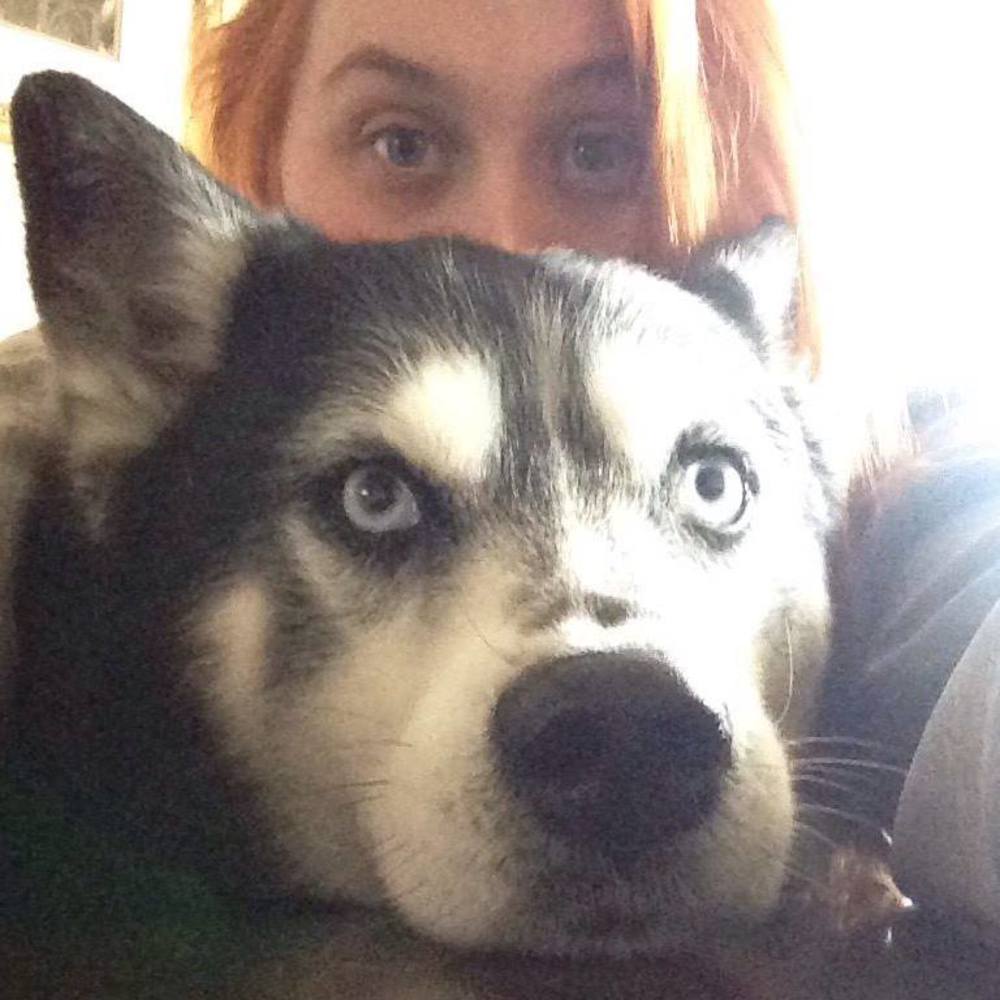 Meet your Posher, Chelsie