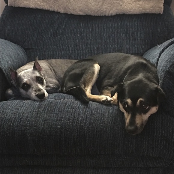 Meet your Posher, Caitlynn - Picture 1 of 1