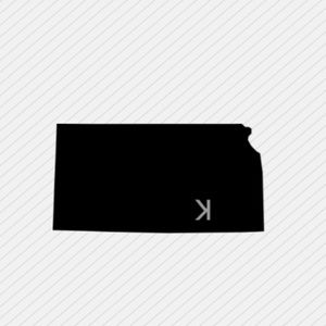 Meet your Posher, Lane