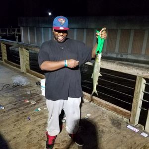 Meet your Posher, Tommie