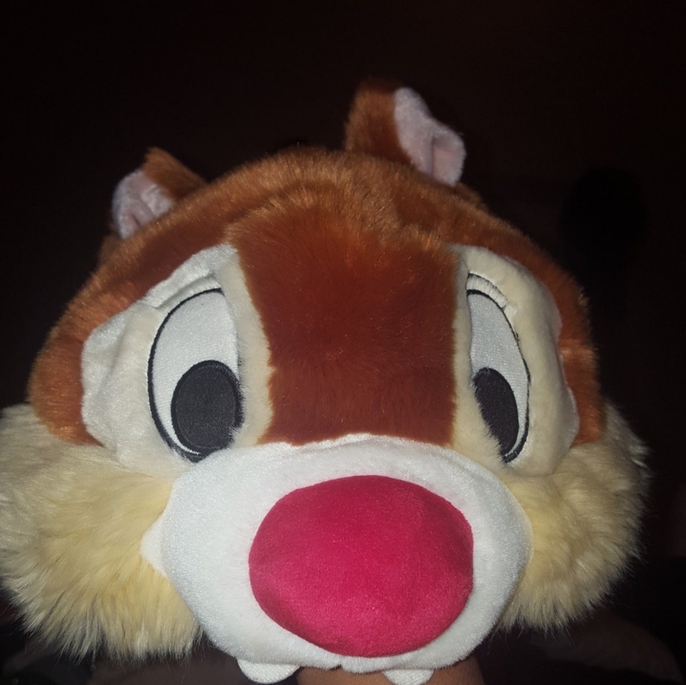 Disney hat