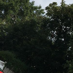 Meet your Posher, Noel