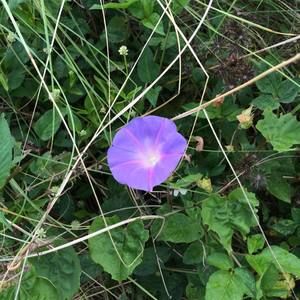 Meet your Posher, Theresa